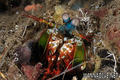 foto de buceo