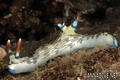 foto de buceo