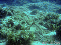 foto de buceo