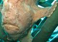 foto de buceo