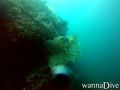 foto de buceo