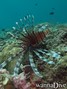 foto de buceo