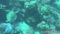 foto de buceo