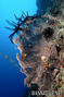foto de buceo