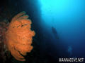 foto de buceo