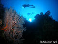 foto de buceo