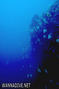 foto de buceo