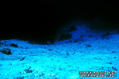 foto de buceo