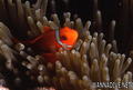 foto de buceo