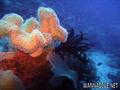foto de buceo