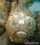 foto de buceo