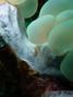 foto de buceo