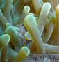 foto de buceo
