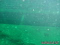 foto de buceo