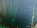 foto de buceo