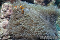 foto de buceo
