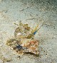 foto de buceo