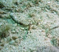 foto de buceo