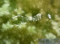 foto de buceo