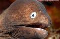foto de buceo