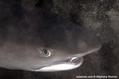 foto de buceo