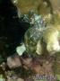 foto de buceo