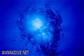 foto de buceo