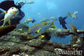 foto de buceo
