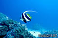 foto de buceo