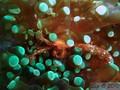 foto de buceo