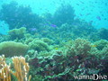 foto de buceo
