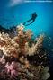 foto de buceo
