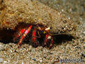 foto de buceo