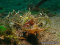 foto de buceo