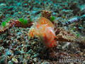 foto de buceo