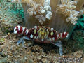 foto de buceo