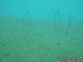 foto de buceo