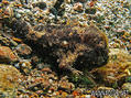 foto de buceo