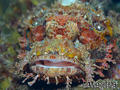 foto de buceo
