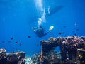 foto de buceo