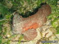 foto de buceo