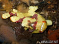 foto de buceo
