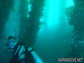 foto de buceo