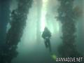 foto de buceo