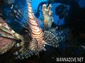 foto de buceo