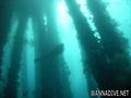 foto de buceo