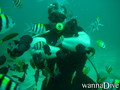 foto de buceo