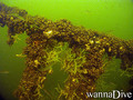 foto de buceo