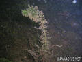 foto de buceo