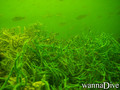 foto de buceo